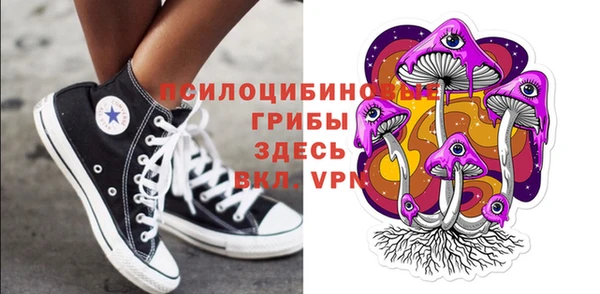 дурь Лихославль
