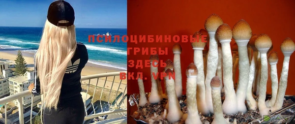 дурь Лихославль